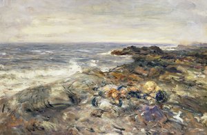 Flotsam和Jetsam 作者 威廉·麦克塔格特